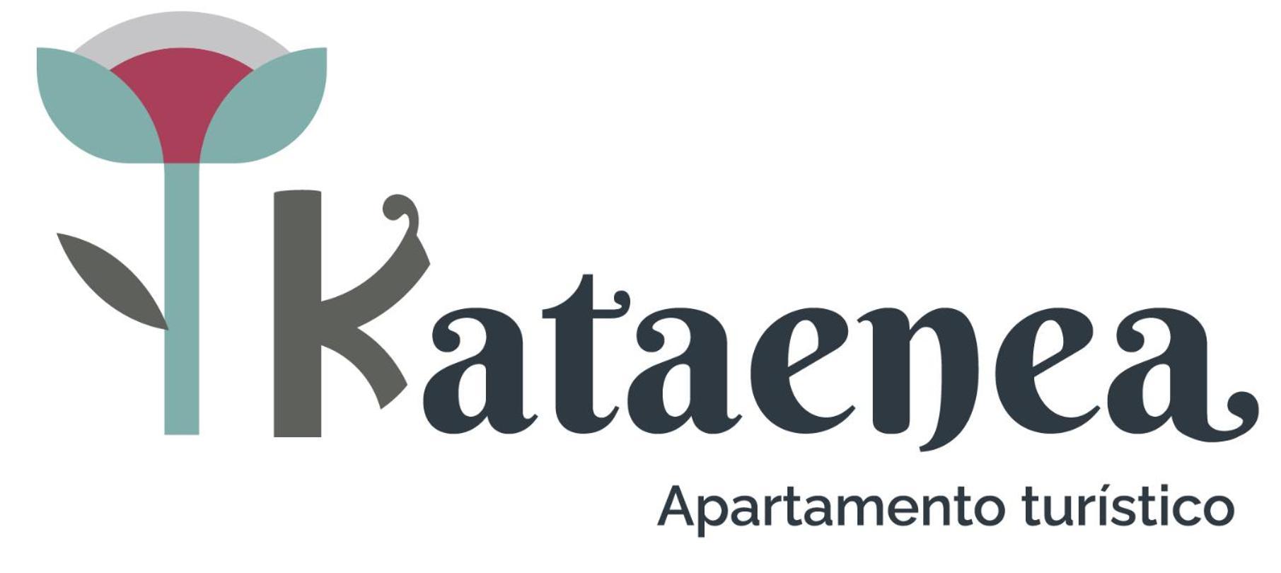 Kataenea. Apartamento En El Prepirineo Navarro. Naturaleza Aoiz Екстериор снимка